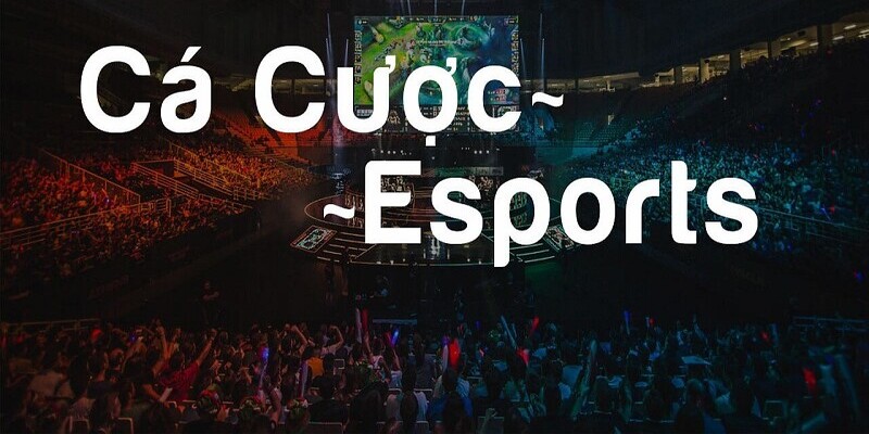 Giải thích cá cược Esport đến cho toàn bộ khách hàng