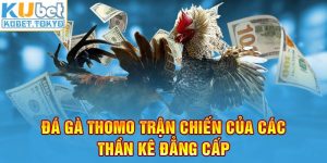 Đá gà Thomo trận chiến của các thần kê đẳng cấp