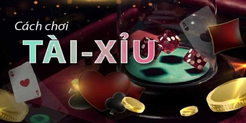 Mẹo chơi tài xỉu gấp thếp hiệu quả ở Kubet77